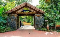 澳大利亚凯恩斯市旅游攻略之凯恩斯植物园