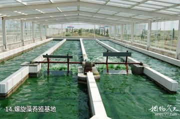 江苏永丰林农业生态园-螺旋藻养殖基地照片