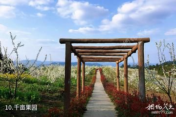 平昌大石童话小镇景区-千亩果园照片