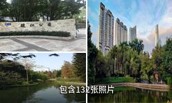 广州珠江公园驴友相册