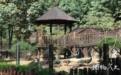 南京紅山森林動物園旅遊攻略之珍禽園