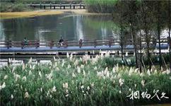 新津白鹤滩国家湿地公园旅游攻略之长兴桥