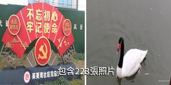 揚州茱萸灣公園驢友相冊