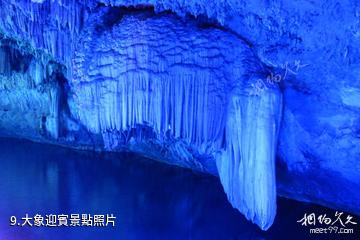 通山隱水洞地質公園-大象迎賓照片