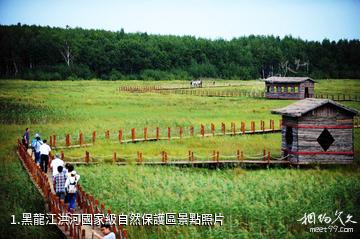 黑龍江洪河國家級自然保護區照片