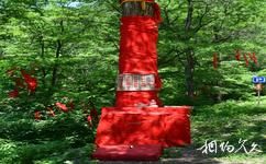 遼寧新賓和睦國家森林公園旅遊攻略之神樹