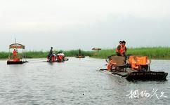 大庆珰奈湿地旅游攻略之芦荡撑排
