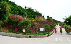 重慶開州盛山植物園旅遊攻略之紫薇苑