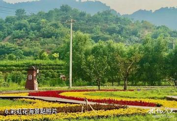 天津薊州郭家溝景區-彩虹花海照片