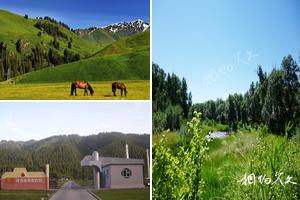 新疆阿克蘇伊犁哈薩克尼勒克旅遊景點大全