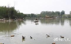 揚州茱萸灣公園旅遊攻略之湖水風景