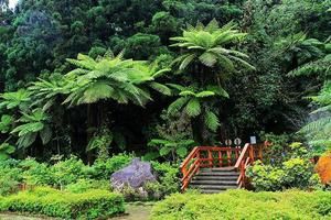 台灣南投鹿谷旅遊攻略-鹿谷鄉景點排行榜