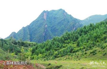 臨洮南屏山生態旅遊景區-森林照片