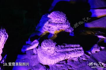 廣西鳳山岩溶國家地質公園-鴛鴦照片