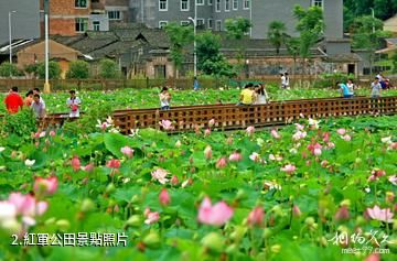 上杭毛澤東才溪鄉調查舊址-紅軍公田照片