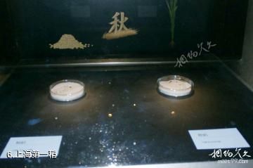 上海崧泽遗址博物馆-上海第一稻照片