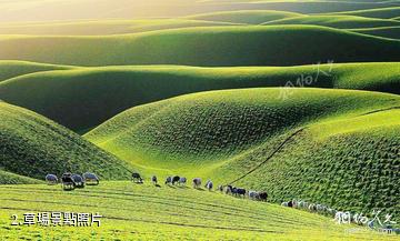 和田策勒崑崙聖境(板蘭格)景區-草場照片