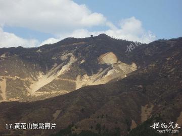 九龍山國家森林公園-黃花山照片