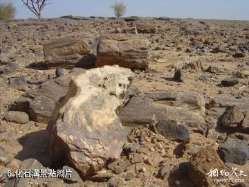 蘇丹喀土穆-化石溝照片
