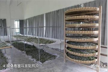 浙江嘉欣絲綢園-種桑養蠶區照片