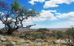 坦尚尼亞塞倫蓋蒂國家公園旅遊攻略之納比山