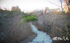 北京蓟门烟树公园旅游攻略之青石步道