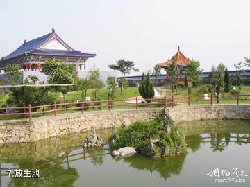 长葛中州人文纪念园-放生池照片