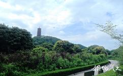 深圳紅花山公園旅遊攻略之公園