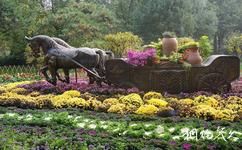北京北海公园旅游攻略之菊花展