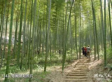 泰安徂徠山國家森林公園-竹園照片