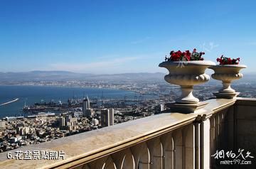 以色列海法市-花盆照片