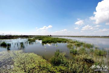 哈尔滨呼兰河口湿地公园-湿地照片