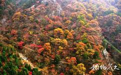 岳西鹞落坪国家级自然保护区旅游攻略之七色山
