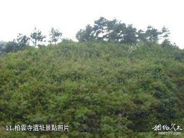 九龍山國家森林公園-柏雲寺遺址照片