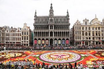 比利時布魯塞爾大廣場-鮮花地毯照片