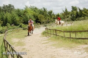 江蘇永豐林農業生態園-跑馬場照片