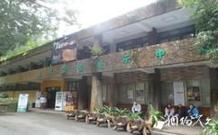 台湾溪头森林公园（溪头自然教育园区）旅游攻略之森林生态展示中心