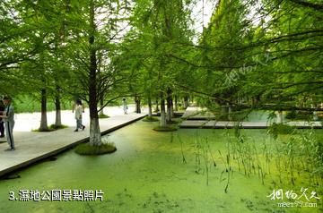 嘉興湘家盪旅遊度假區-濕地公園照片