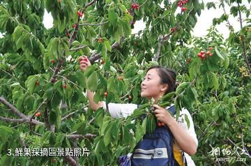 驪城隆盛觀光園-鮮果採摘區照片