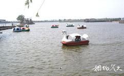 江蘇永豐林農業生態園旅遊攻略之划船