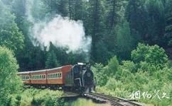 哈爾濱森林小火車度假區青峰山莊旅遊攻略之森林小火車