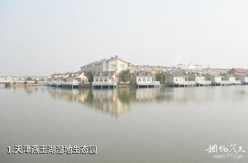 天津燕王湖湿地生态园照片