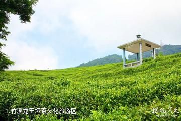 竹溪龙王垭茶文化旅游区照片
