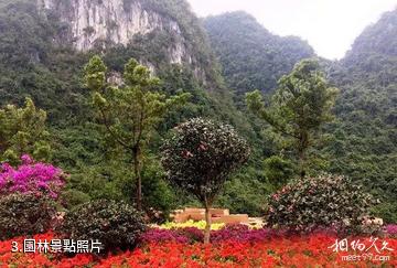 東蘭長樂宮景區-園林照片