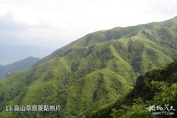 長沙大圍山國家森林公園-高山草原照片