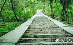 泰安腊山国家森林公园旅游攻略之云路桥