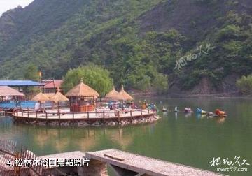 九龍山國家森林公園-松林沐浴園照片
