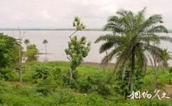 刚果金李文斯顿瀑布旅游攻略之刚果河(CongoRiver)