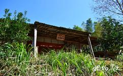 宜豐洞山旅遊攻略之古城寺遺址