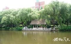 上海永清公园旅游攻略之清影亭